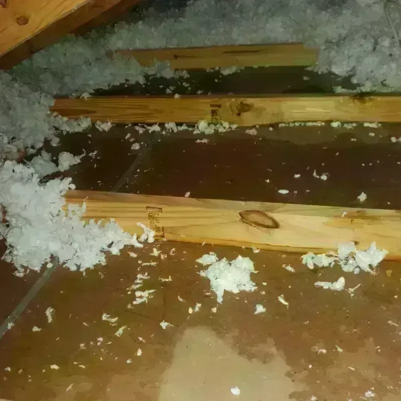 Attic Water Damage in Brevard, NC