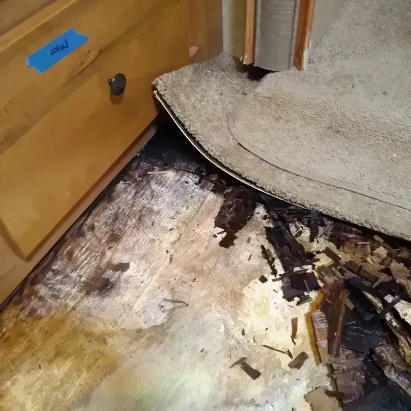 Best Wood Floor Water Damage Service in Brevard, NC